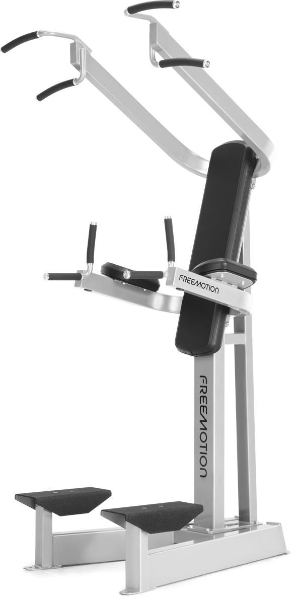 Dip and ab machine best sale