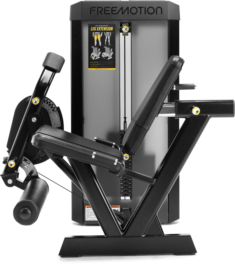 Leg Extension