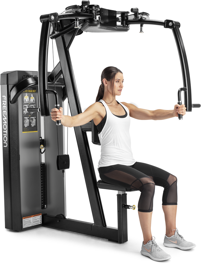 Pec Fly / Hinterer Deltamuskel