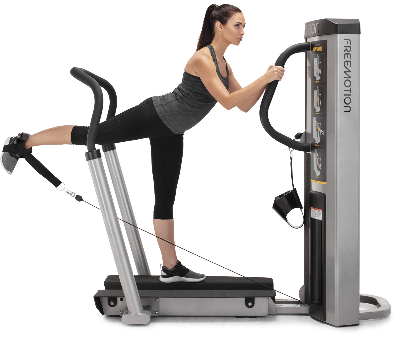 Quadrizeps / Oberschenkelmuskulatur