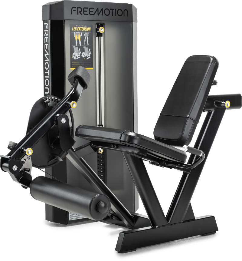 Leg Extension