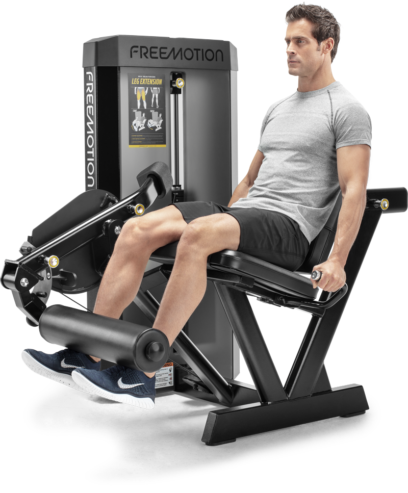 Leg Extension