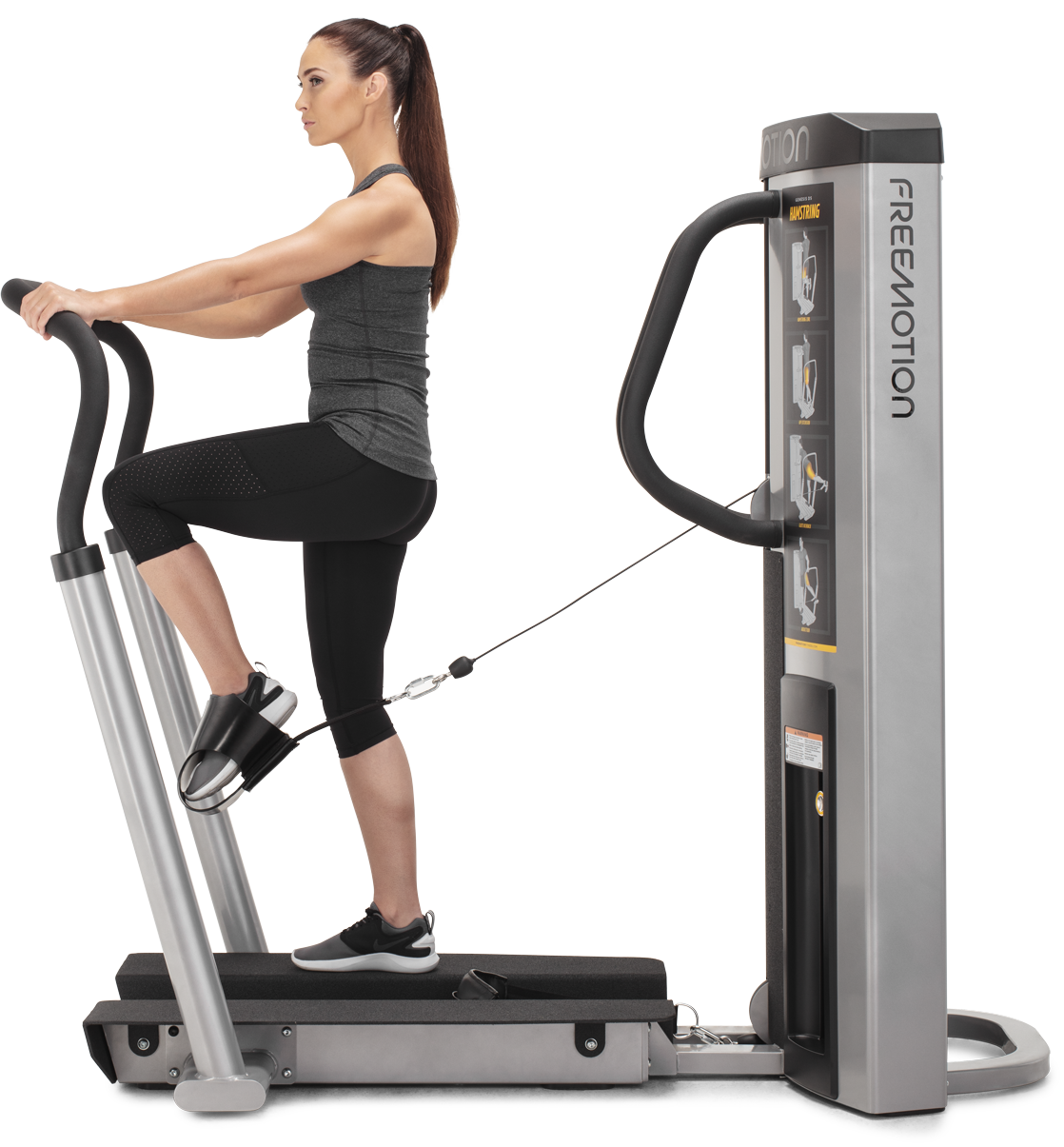 Quadrizeps / Oberschenkelmuskulatur